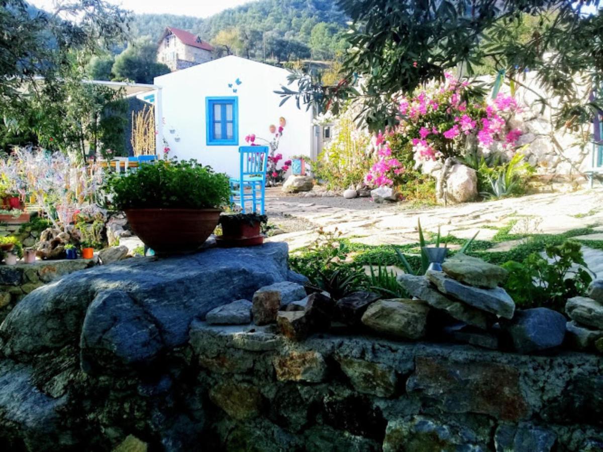 Mavi Kelebek Datca 호텔 외부 사진